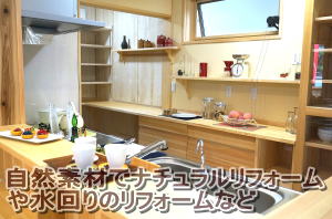 ߍxŎRfރtH[␅̃tH[